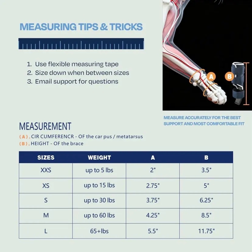 손목 과연장 방지용 강아지 보호대, 앞다리 부목, 골절 - Ankle Mobility Band 리뷰 및 가격